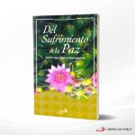 DEL SUFRIMIENTO A LA PAZ  SAN PABLO