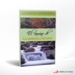 EL CAMINO DE LA CONFIANZA Y DEL AMOR  SAN PABLO